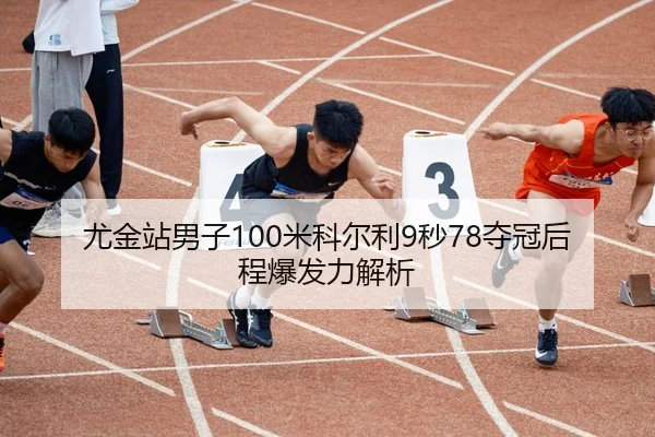 you-jin-zhan-nan-zi-mi-ke-er-li-miao-duo-guan-hou-cheng-bao-fa-li-jie-xi-2-889.jpg